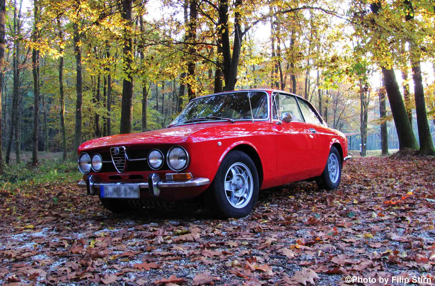 Alfa GT Bertone (105/115)